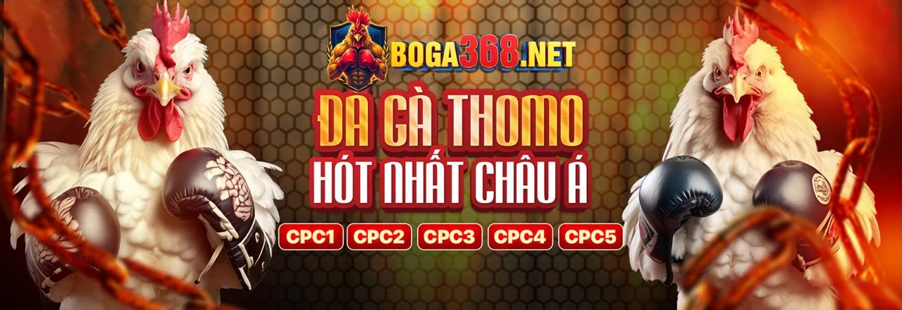 Hướng dẫn từng bước đăng ký Ku Bet
