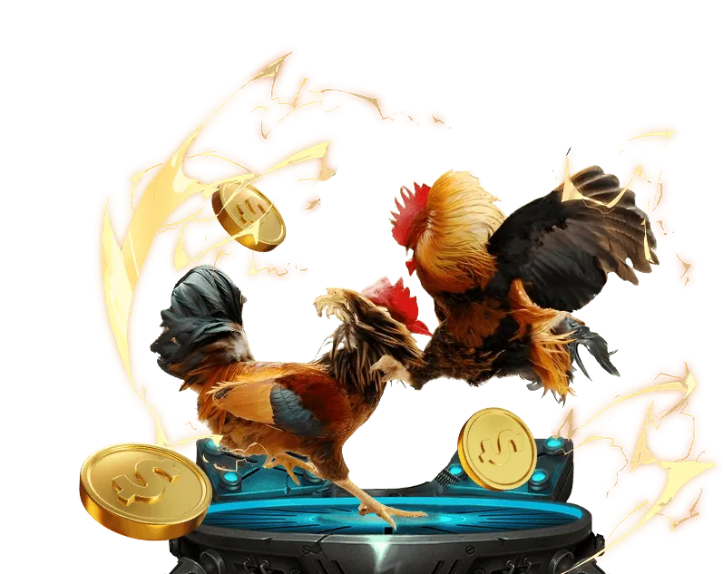 Đá Gà Trực Tuyến Hấp Dẫn